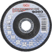 Disque à lamelles | Ø 125 mm | K 120