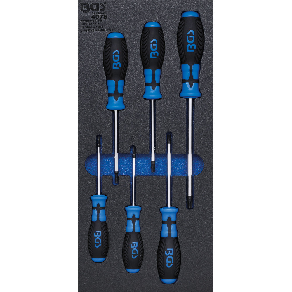 Insert de servante d'atelier 1/3 : Tournevis profil T (pour Torx) | 6 pièces