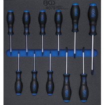 Insert de servante d'atelier 2/3 : Tournevis | Profil T (pour Torx) T6 - T40 | 11 pièces