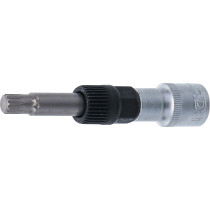 Douille à embouts alternateur | 12,5 mm (1/2") | denture multiple intérieure (pour XZN) | M10