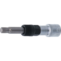 Douille à embouts alternateur | 12,5 mm (1/2") | denture multiple intérieure (pour XZN) | M10