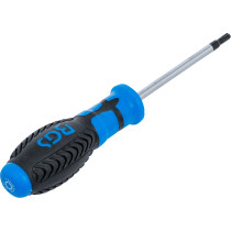 Tournevis | profil T (pour Torx) T20 | longueur de la lame 80 mm