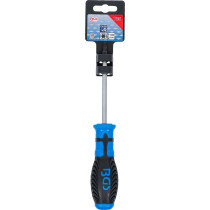 Tournevis | profil T (pour Torx) T25 | longueur de la lame 100 mm