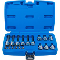 Jeu de douilles à embouts | 6,3 mm (1/4") / 12,5 mm (1/2") | Profil T (pour Torx) avec perçage | 18 pièces