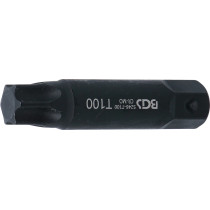 Embout | Longueur 100 mm | 22 mm | profil T (pour Torx) T100