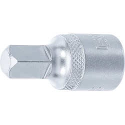 Clé de vidange | 12,5 mm (1/2") | poussée femelle | 3/8"