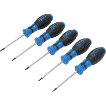 Jeu de tournevis | Profil T (pour Torx) avec perçage | T6 - T10 | 5 pièces