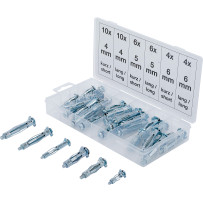 Assortiment de chevilles de chevilles Molly | 40 pièces