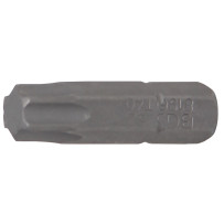 Embout | Longueur 25 mm | 6,3 mm (1/4") | profil T (pour Torx) T40