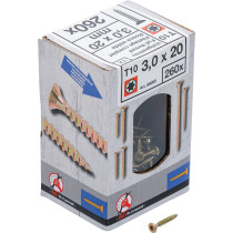 Vis multifonctions | profil en T (pour Torx) T10 | 3,0 x 20 mm | 260 pièces