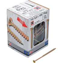 Vis multifonctions | profil en T (pour Torx) T25 | 5,0 x 100 mm  | 1 kg / 120 pièces