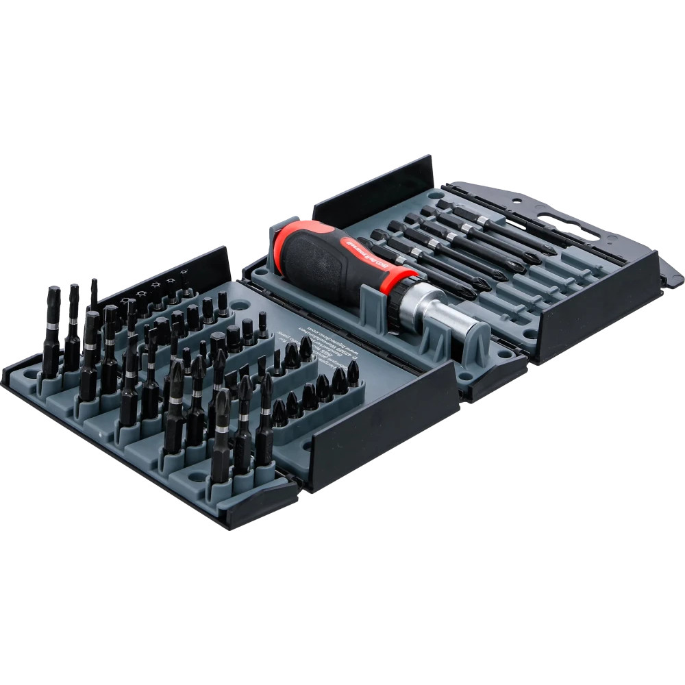 Jeu d'embouts de torsion | avec poignée rotative à cliquet pour embouts réversibles | 52 pcs.