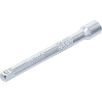 Rallonge | 6,3 mm (1/4") | 100 mm