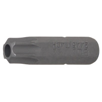 Embout | Longueur 25 mm | 6,3 mm (1/4") | profil T (pour Torx) avec perçage T40