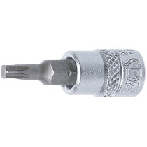 Douille à embouts | 6,3 mm (1/4") | profil T (pour Torx) T20