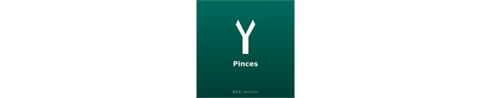 Pinces