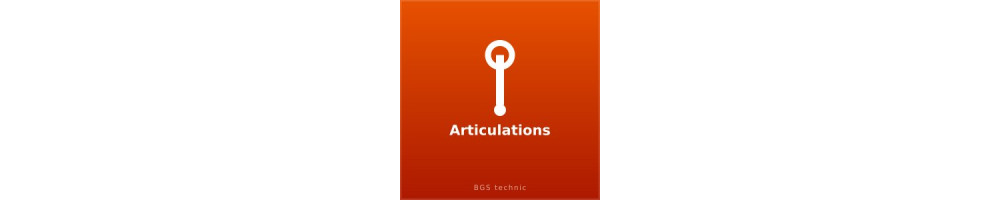 Articulations