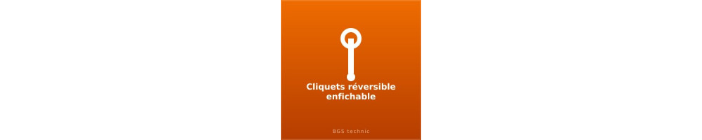 Cliquets réversible enfichable