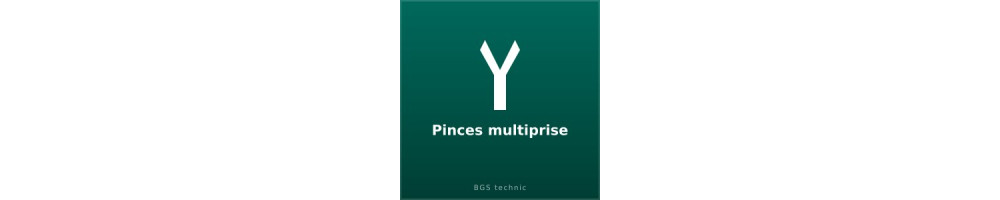 Pinces multiprise