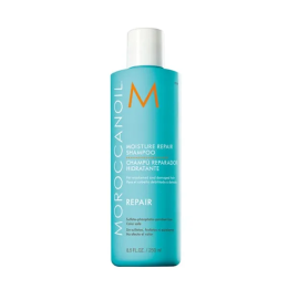 Repair Regenerierendes Shampoo 250ml
