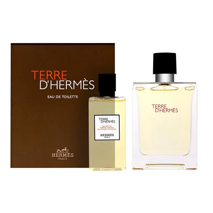 Hermès Terre D´Hermes Eau De Toilette Spray 100ml Set 2 Artikel