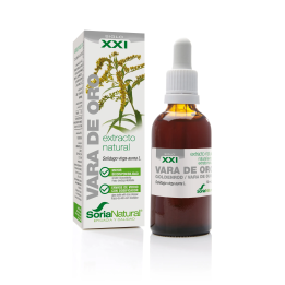 Soria Extracto Vara Oro S Xxi 50ml