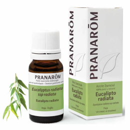 Pranarom Aceite Esencial Eucalipto Radiata 10ml