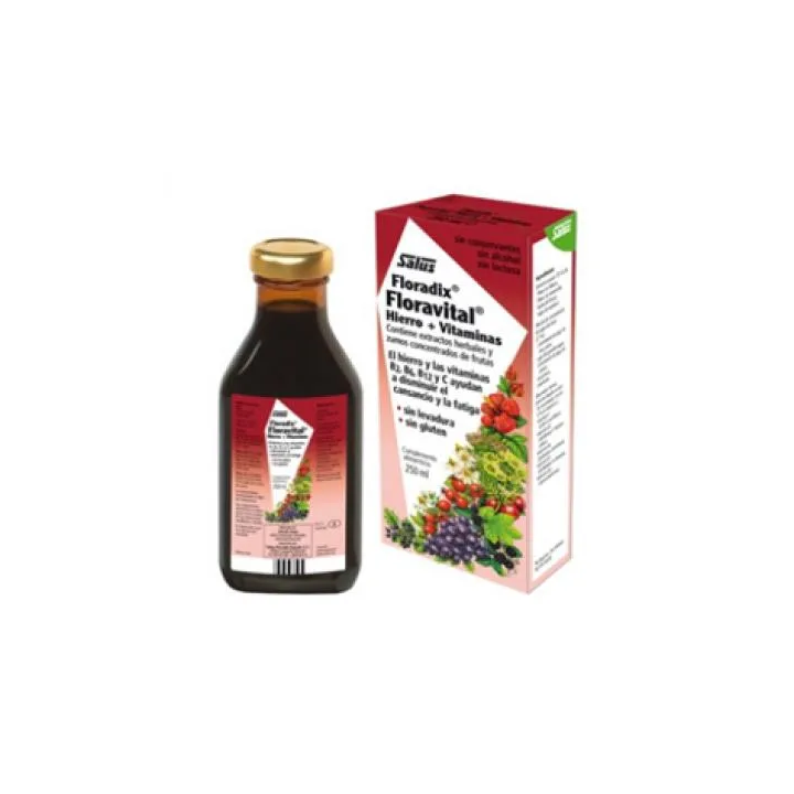 Salus Floradix Floravital 250ml