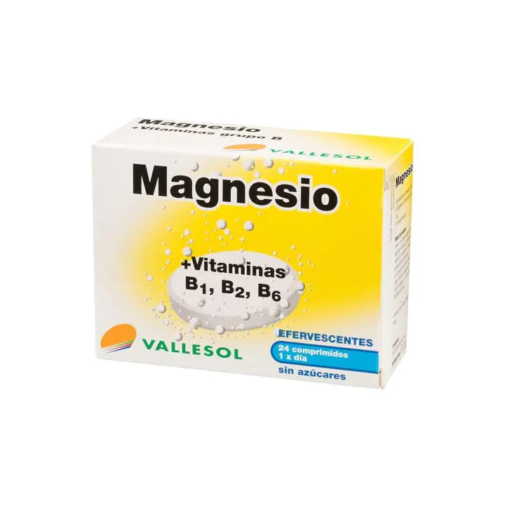 Vallesol Effervescent Magnésium B 24comp