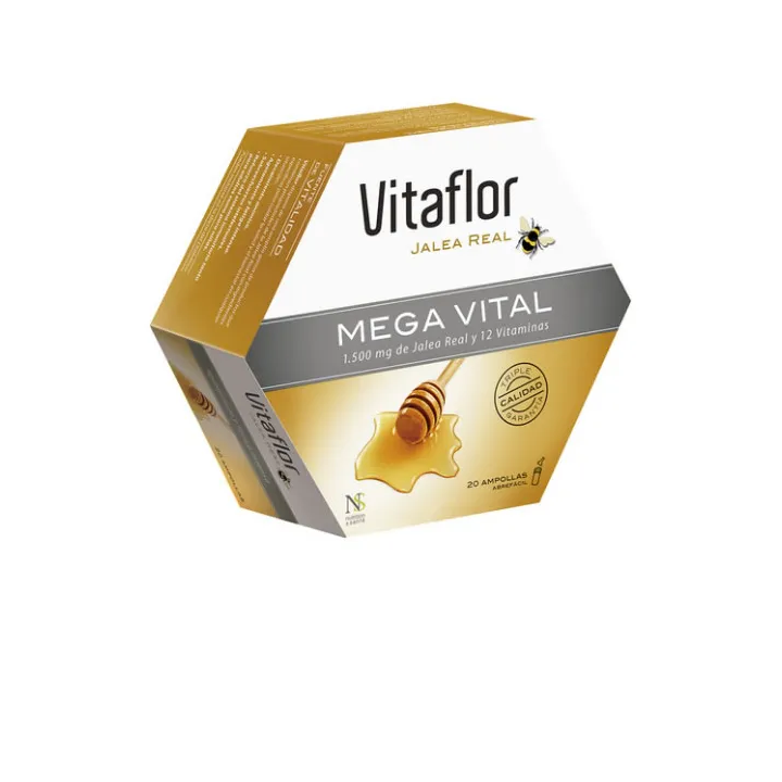 Vitaflor Mega Vital 20 Ampulle 200ml