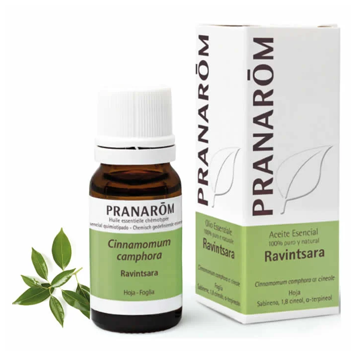 Pranarom Ravintsara Essential Oil 10ml