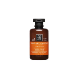 Apivita Champú Brillo Y Vitalidad Con Naranja Y Miel 250ml
