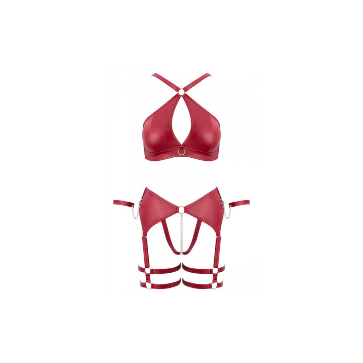 Ensemble BDSM bordeaux - Cotelli Bondage
