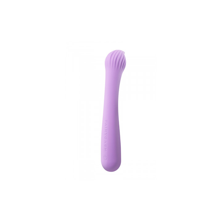 Vibro rechargeable Passionmania violet - FairyGasm