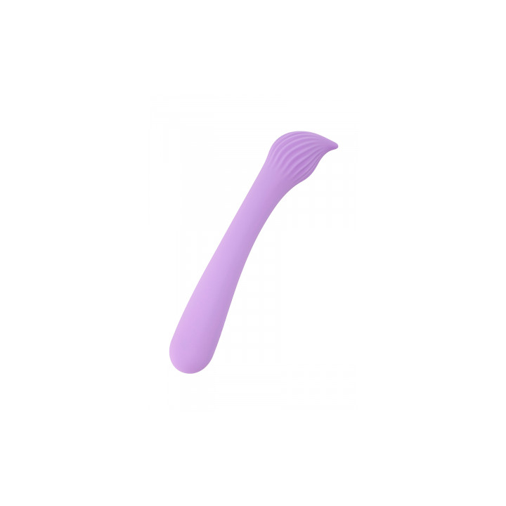 Vibro rechargeable Passionmania violet - FairyGasm