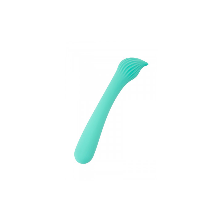 Vibro rechargeable Passionmania vert - FairyGasm
