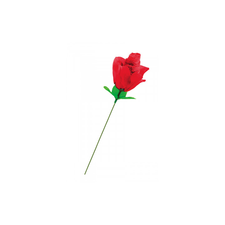 Rose surprise avec petite culotte - Fun Novelties