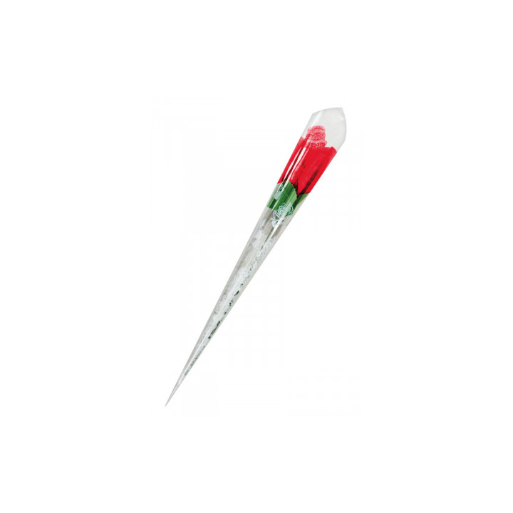 Rose surprise avec petite culotte - Fun Novelties