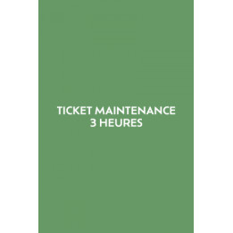 Ticket 3 heures de maintenance