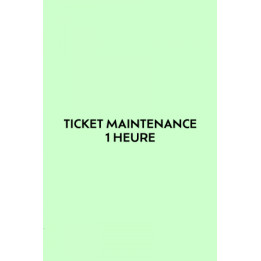 Ticket 1 heure de maintenance