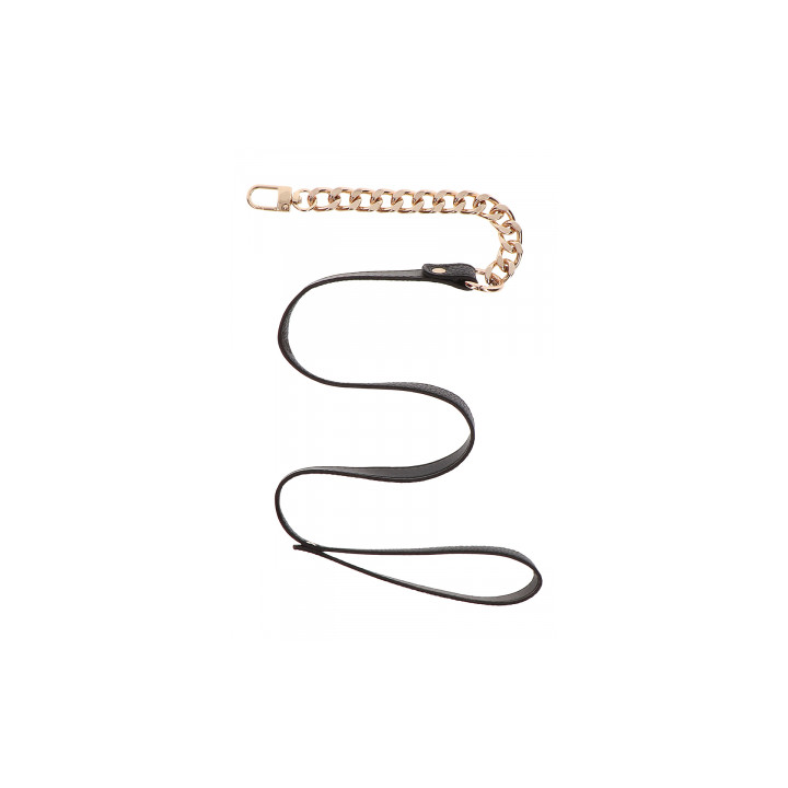 Collier et laisse Statement - Taboom