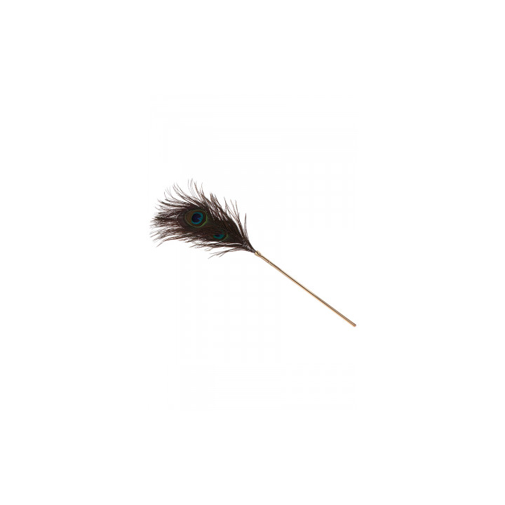 Plumeau à caresses Peacock Tickler - Taboom