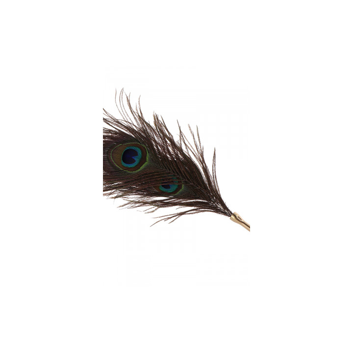 Plumeau à caresses Peacock Tickler - Taboom