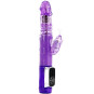 BAILE - US LAPIN PAPILLON PRINCE