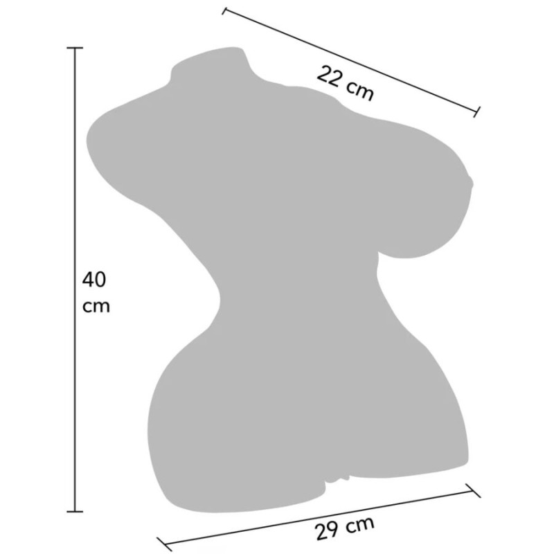 DÉSIR CACHÉ - TORSE DE CHIENNE TRÈS EXCITÉE, MASTURBATEUR FÉMININ 10 KG