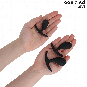 ADDICTED TOYS - LOT DE 3 PLUG ANAL MODÈLE 3