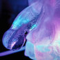 PLAY WIV ME - HUGE PENIS ICE LUGE MOULE