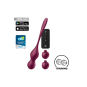 Boules de geisha vibrantes Satisfyer Love Birds Vary