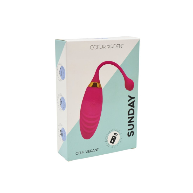 SUNDAY, Un Œuf vibrant USB avec télécommande, dans un silicone médical doux et rainuré