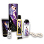 Coffret collection plaisirs charnels 5 produits Shunga + un collier de perles